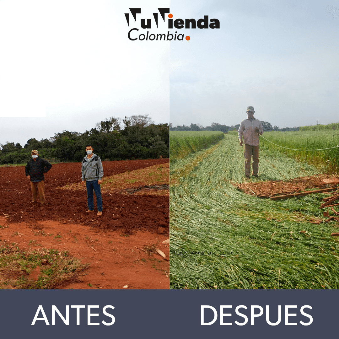 Medidor de parámetros del suelo
