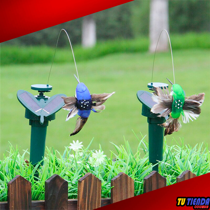 Mariposa y colibrí solar