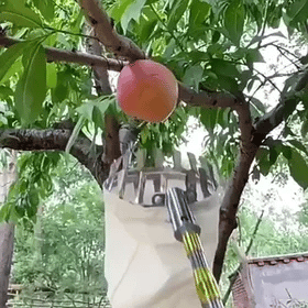 Herramienta Recolectora De Fruta