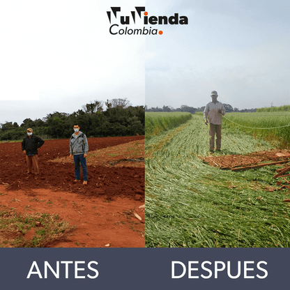 Medidor de parámetros del suelo