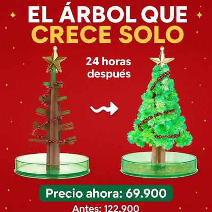 2 Árboles de Navidad mágicos [Crecen Solos]