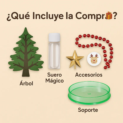 2 Árboles de Navidad mágicos [Crecen Solos]