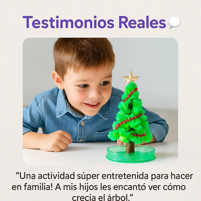 2 Árboles de Navidad mágicos [Crecen Solos]