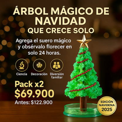 2 Árboles de Navidad mágicos [Crecen Solos]