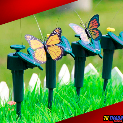 Mariposa y colibrí solar