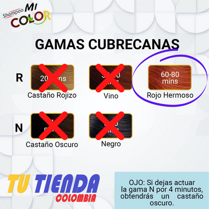 Shampoo Cubre Canas Mi Color®
